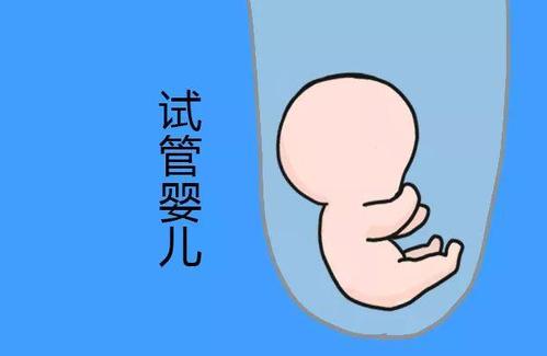 关于供卵供精公司